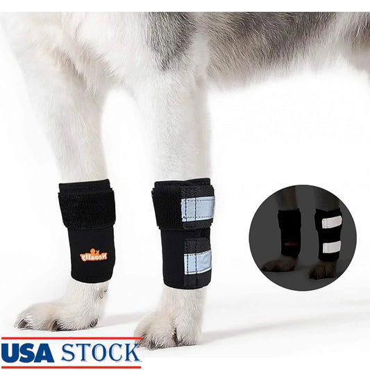 Fujian Front Leg Brace For Dogs And Cats Mobility Support