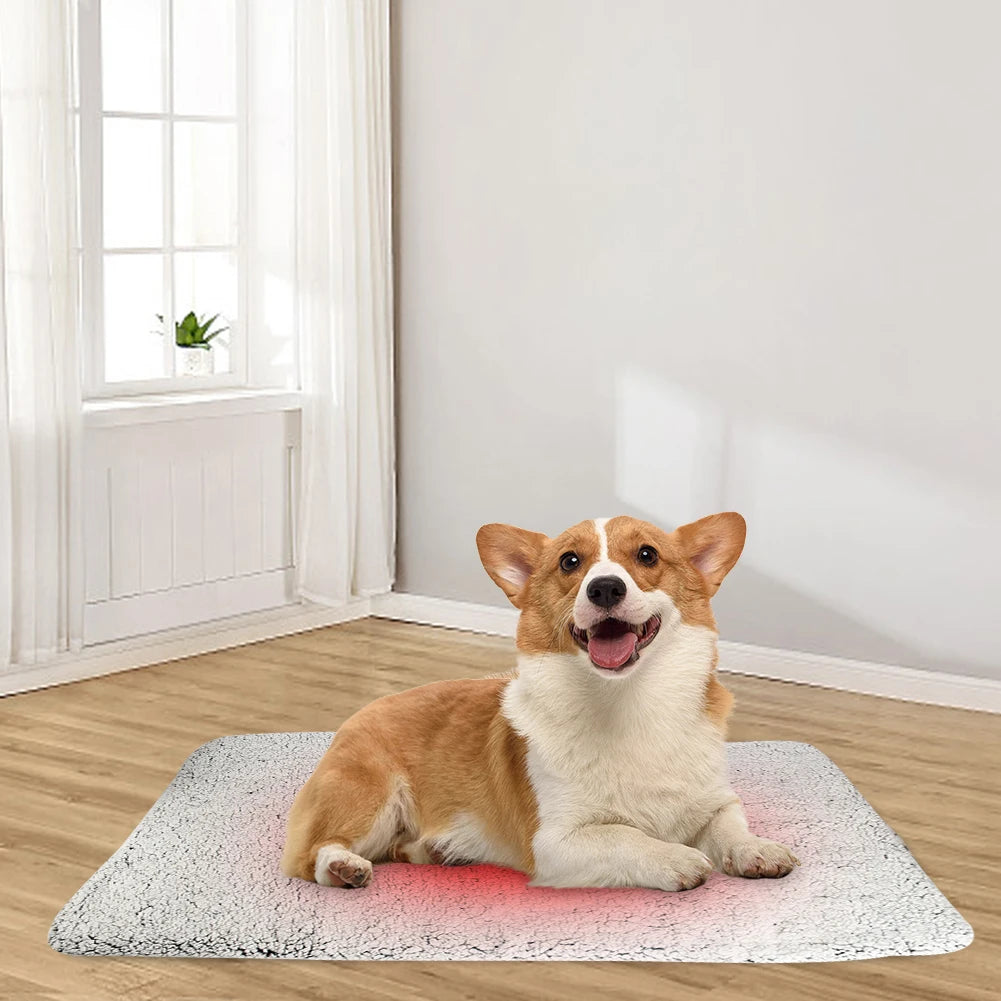Pet Warming Pad Self-Heating Cat Warmer Mat Comfortable Pet Sleeping Mat Soft Thickened Blanket Pad for Indoor Cats & Small Dogs
