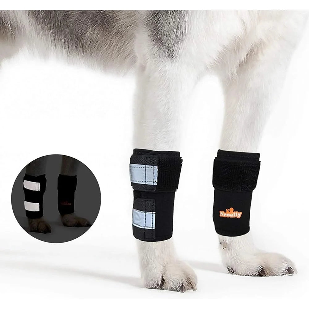 Fujian Front Leg Brace For Dogs And Cats Mobility Support