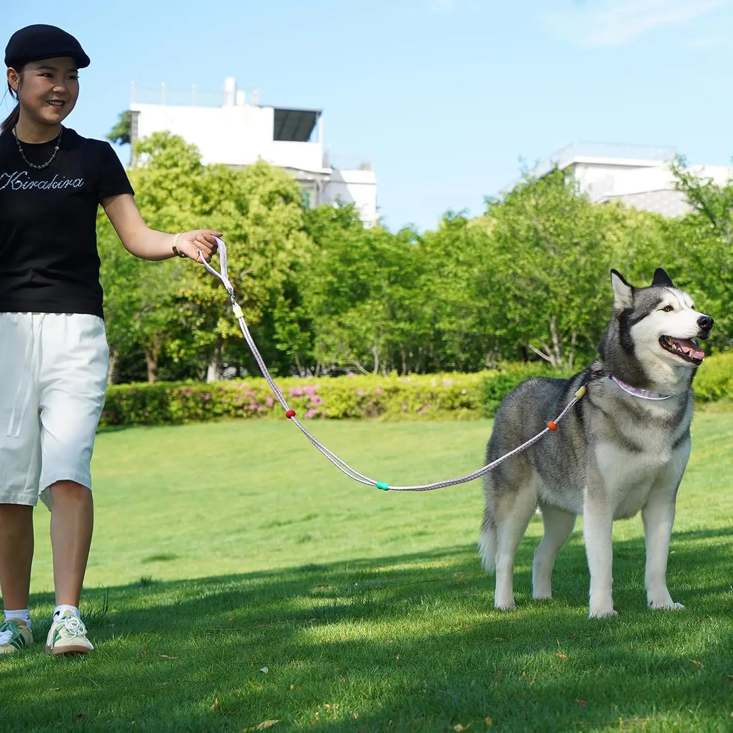 Dog Leash and Collar Set with AirTag Holder for Small Medium Large Dogs,5 FT Double Rope Leashes