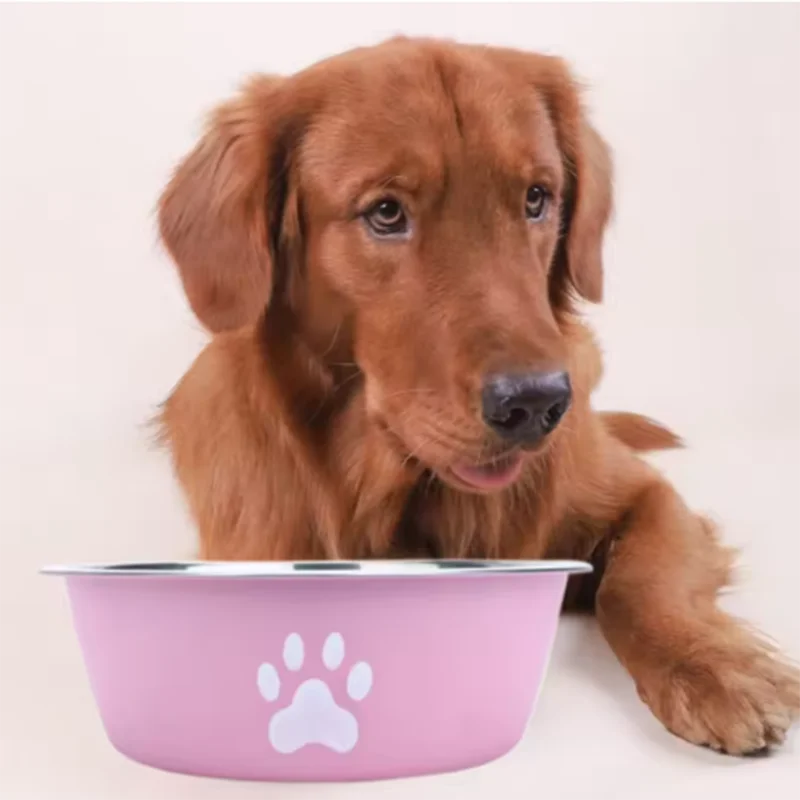 New pet bowls, large-capacity dog food bowls, stainless steel anti-knock household dog bowls, large-scale pet supplies.