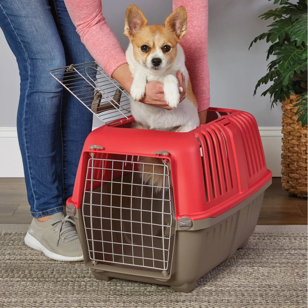 XMSJ Durable Hard Sided Pet Carrier Small Dogs And Cats
