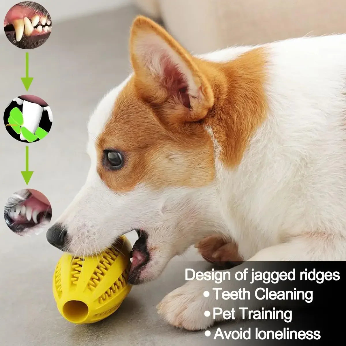 Pet Dog Chew Toys Teeth Cleaning Snack Ball Pet Dog Toy Ball Natural Rubber Super Tough Interactive Bouncy Pet Supplies Cat toys