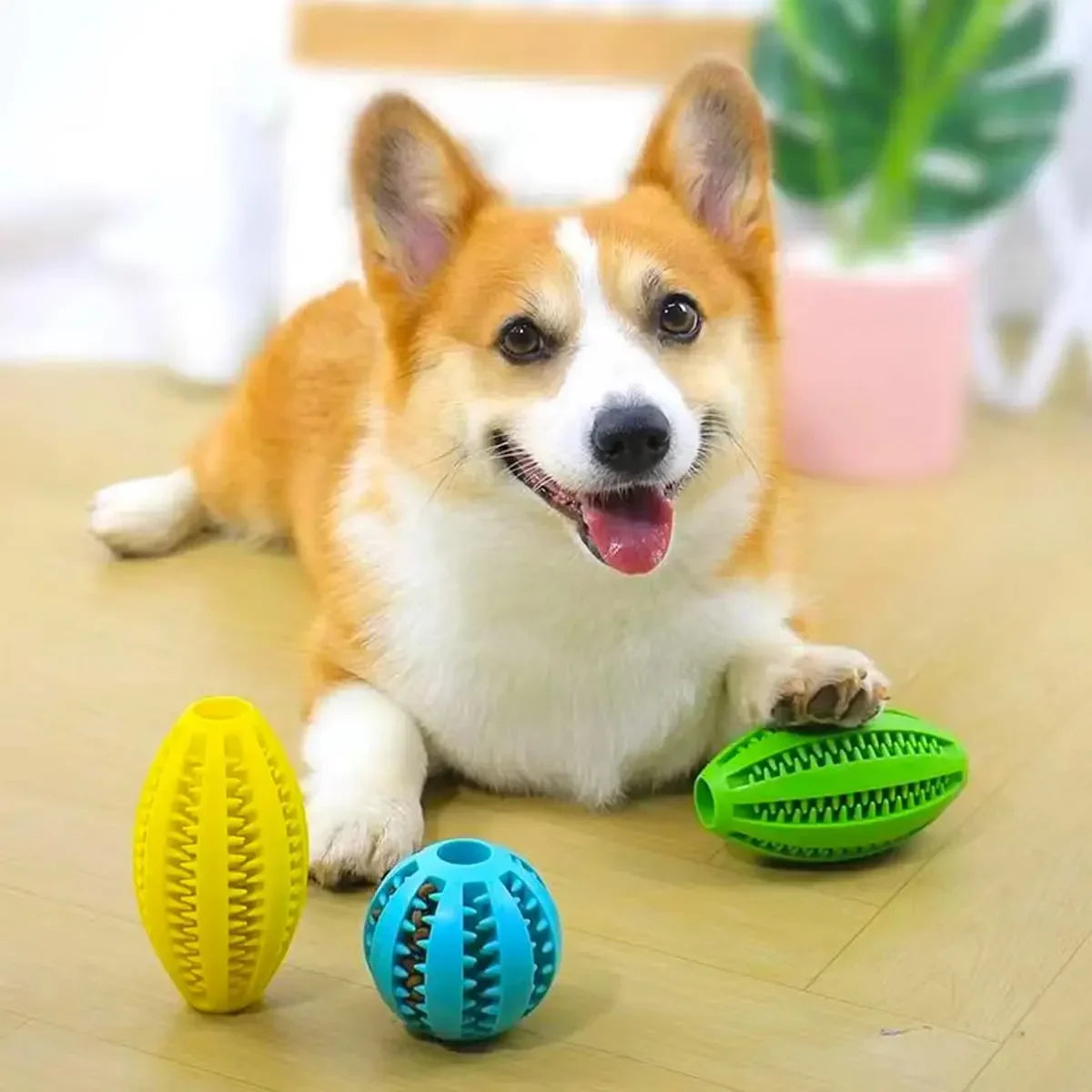 Pet Dog Chew Toys Teeth Cleaning Snack Ball Pet Dog Toy Ball Natural Rubber Super Tough Interactive Bouncy Pet Supplies Cat toys